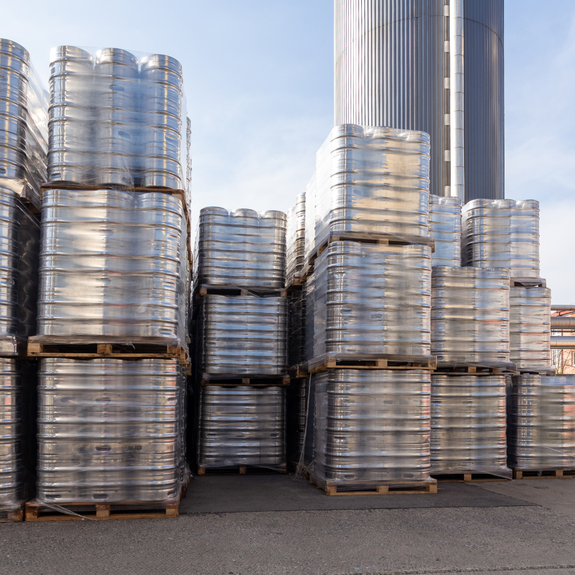 Bučno olje BIO* iz surovih semen